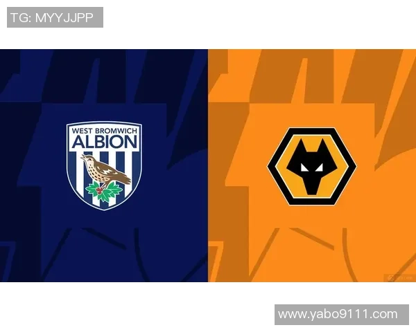 西布罗姆与博尔顿精彩对决比赛录像回顾与分析